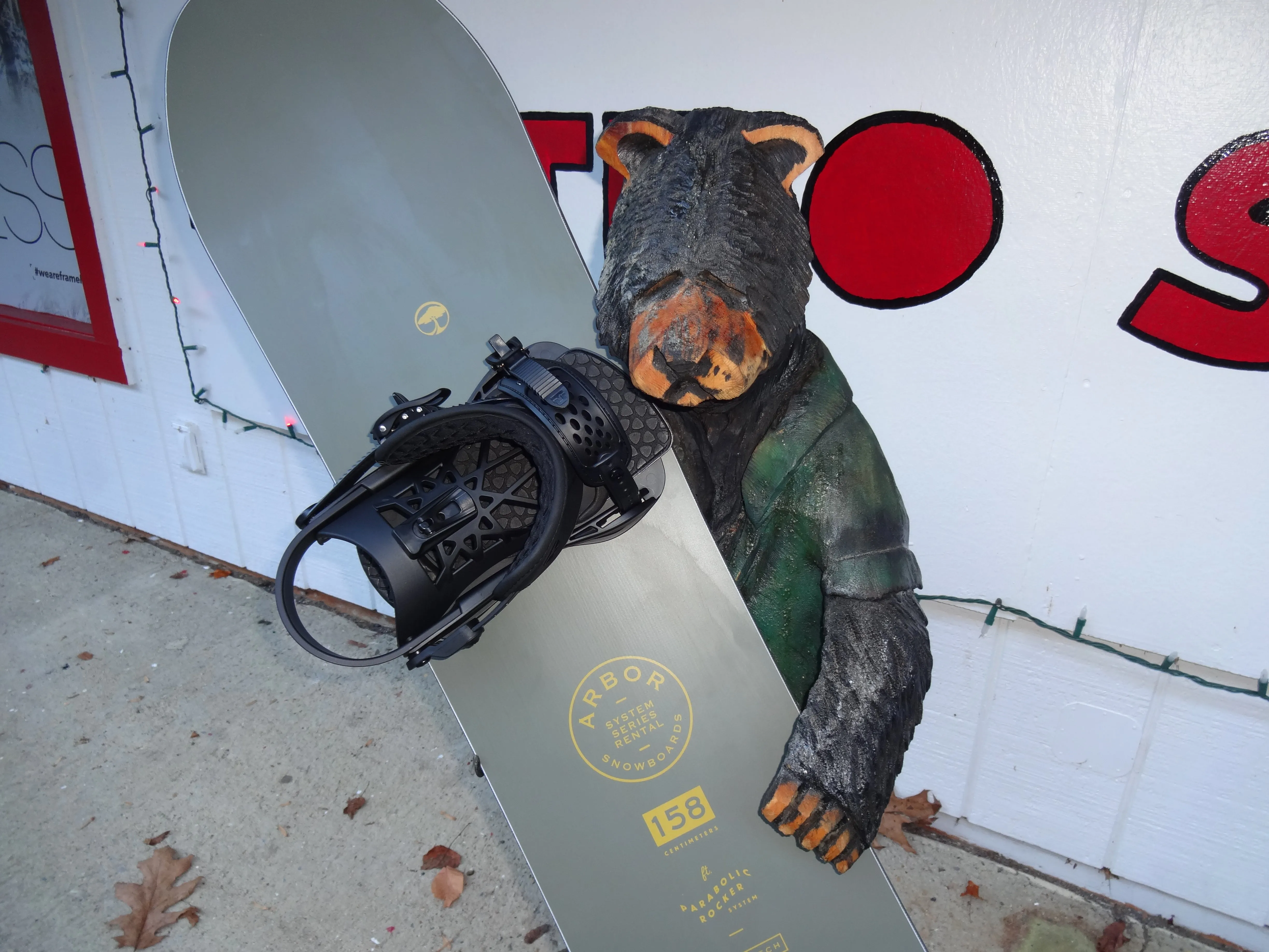 Rent an Arbor Demo Board 162W